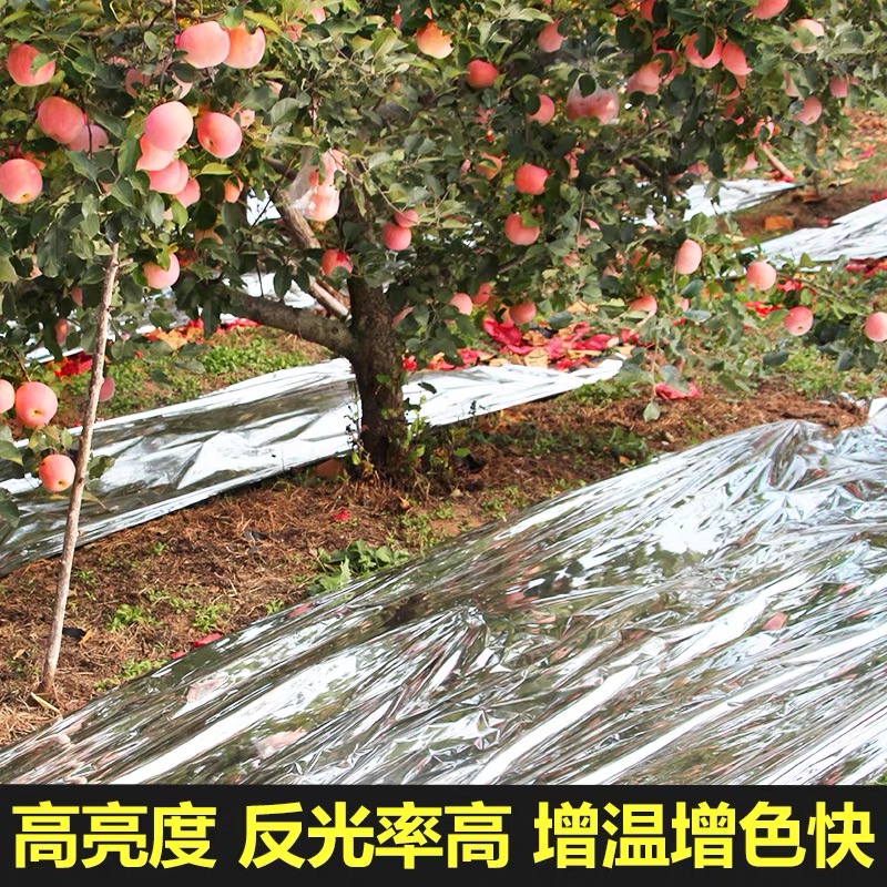 郴州市货车苫盖膜果树反光膜 - 厂家